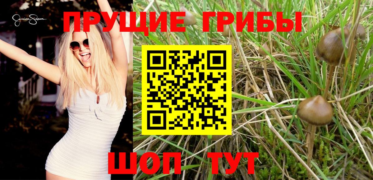 Новодвинск  Кокаин  Как найти наркотики?  Марихуана  Вход с VPN  ГАШ  МЕФ   ТГК 