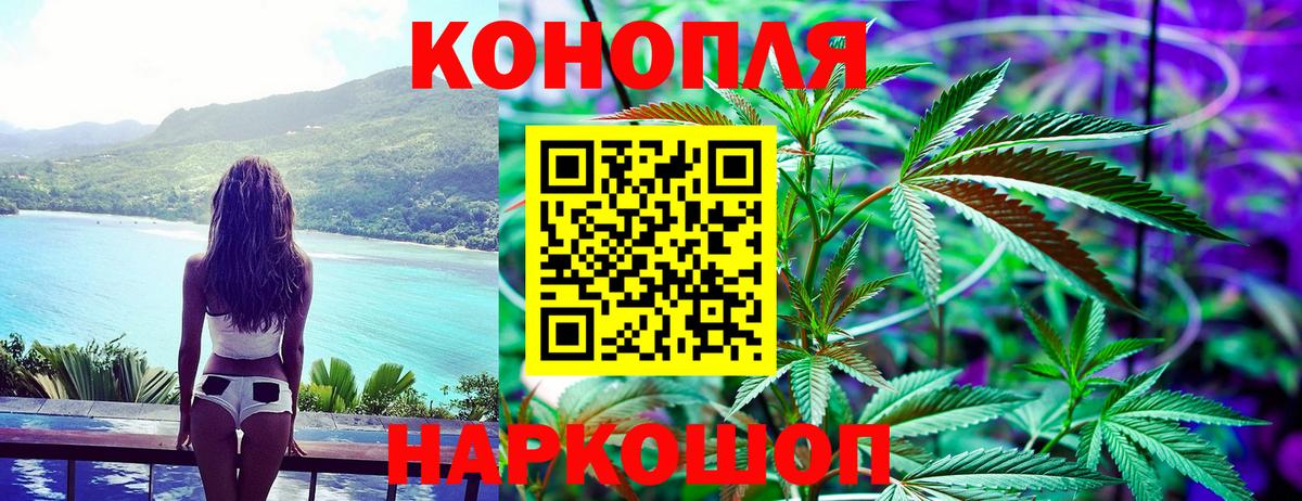 Бошки Шишки ГИДРОПОН  Бошки марихуана ГИДРОПОН  Новодвинск  Вход с VPN  Бошки Шишки планчик  Каннабис план 